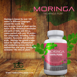 Moringa